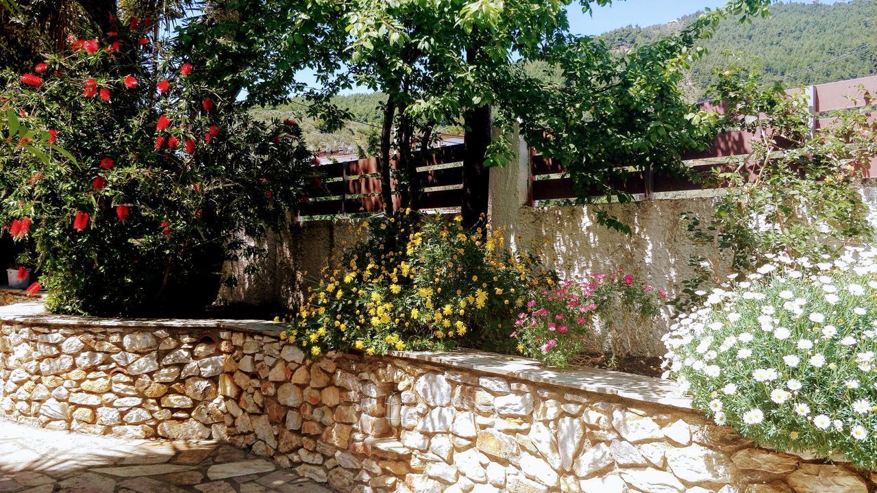 Maria Studios Skiathos Zewnętrze zdjęcie