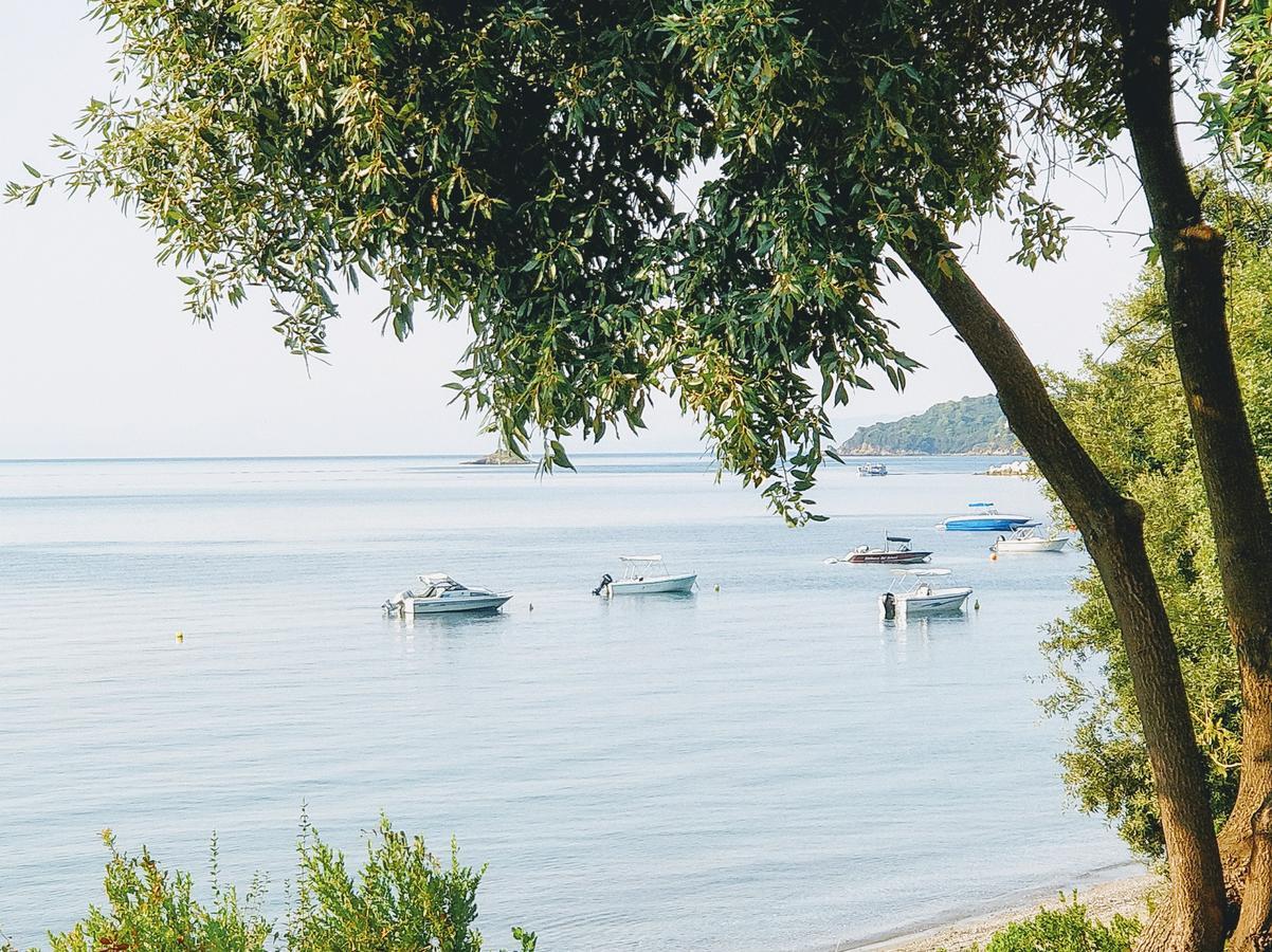 Maria Studios Skiathos Zewnętrze zdjęcie